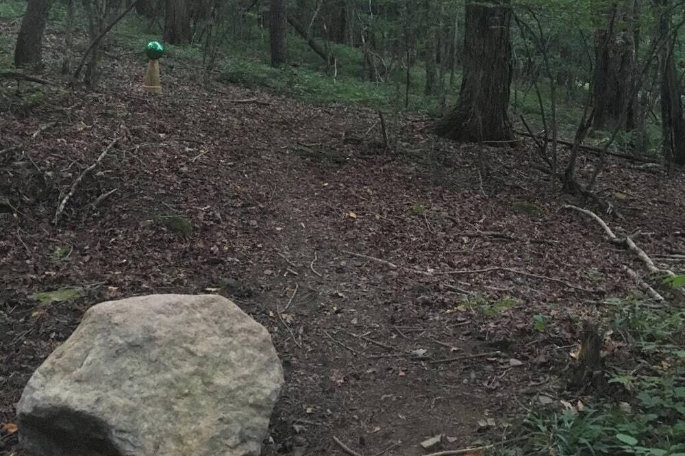 Photo of Others in Spencer