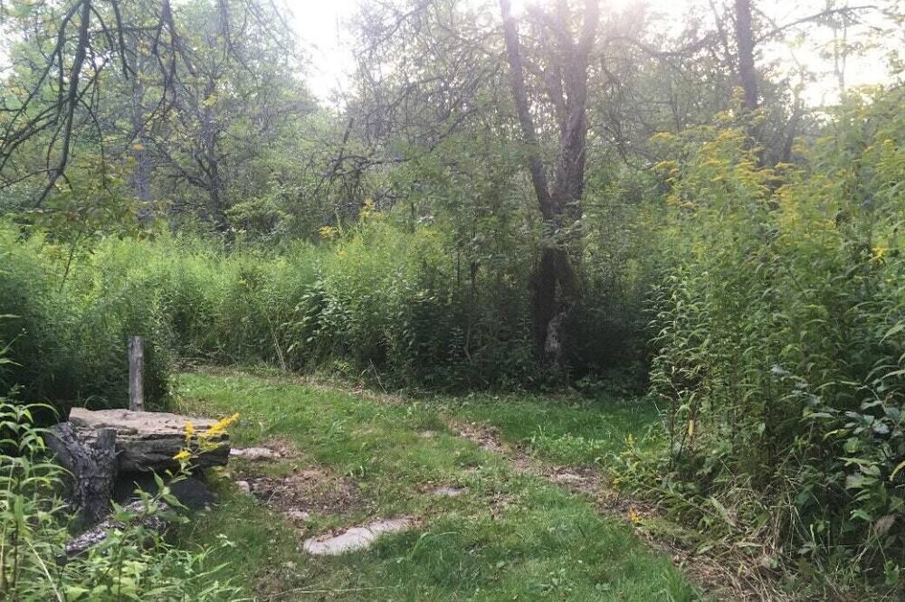 Photo of Others in Spencer