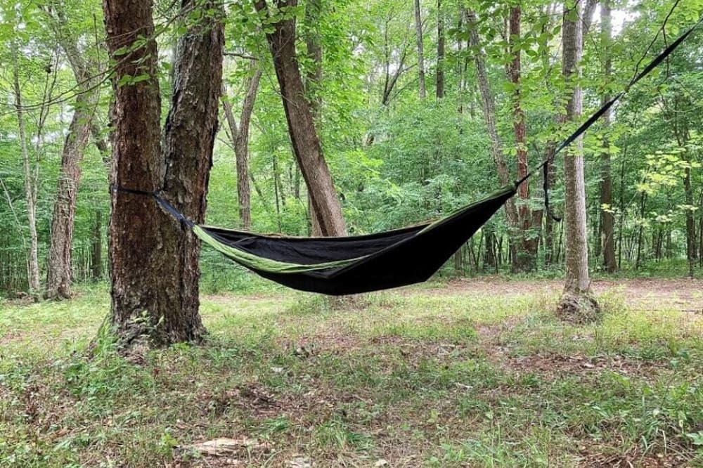 Photo of Others in Ridge