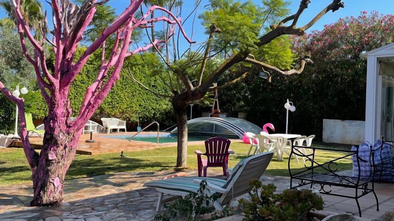 Photo of Outdoor in El Grao de Castellon