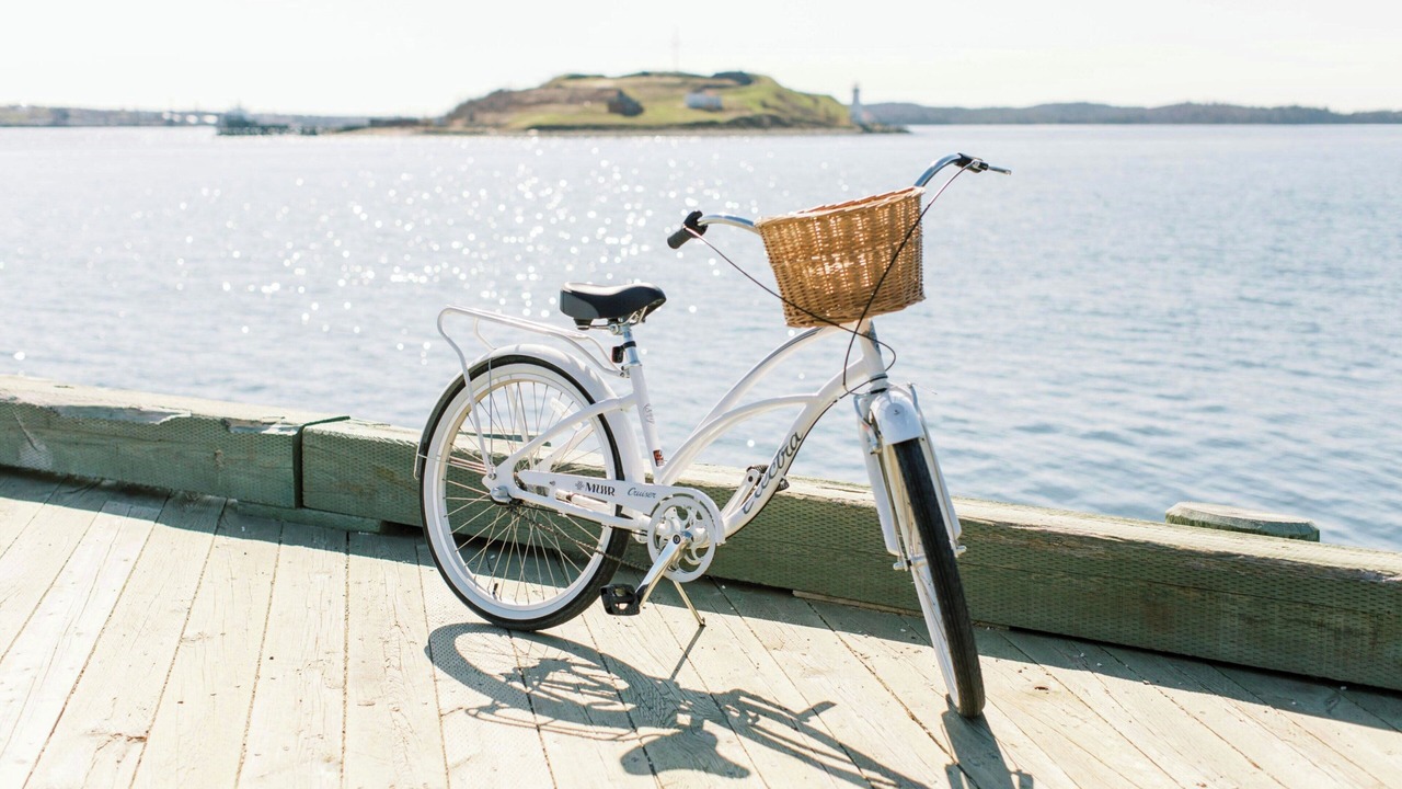 Photo of Others in Downtown Halifax