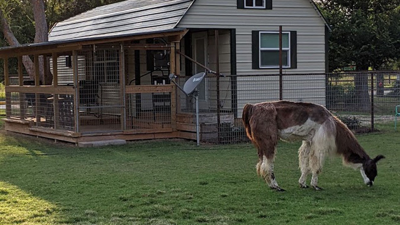 Photo of Outdoor in Cypress