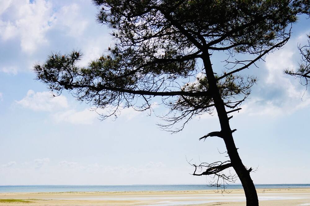 Photo of Others in Saint-Michel-en-l'Herm