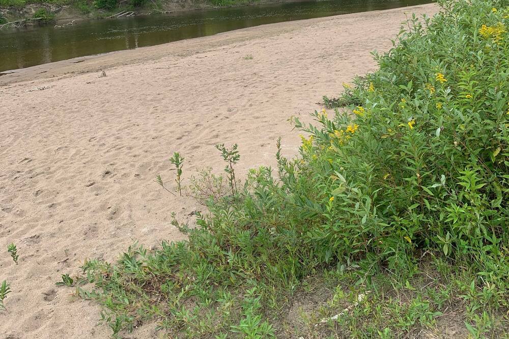 Photo of Others in Goulais River