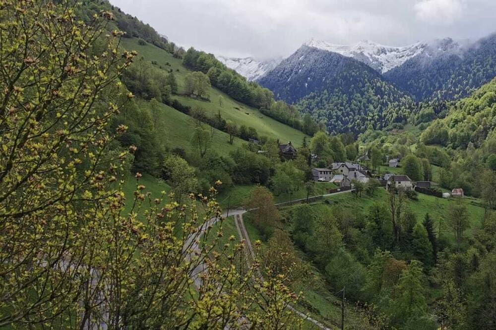 Photo of Outdoor in Boutx