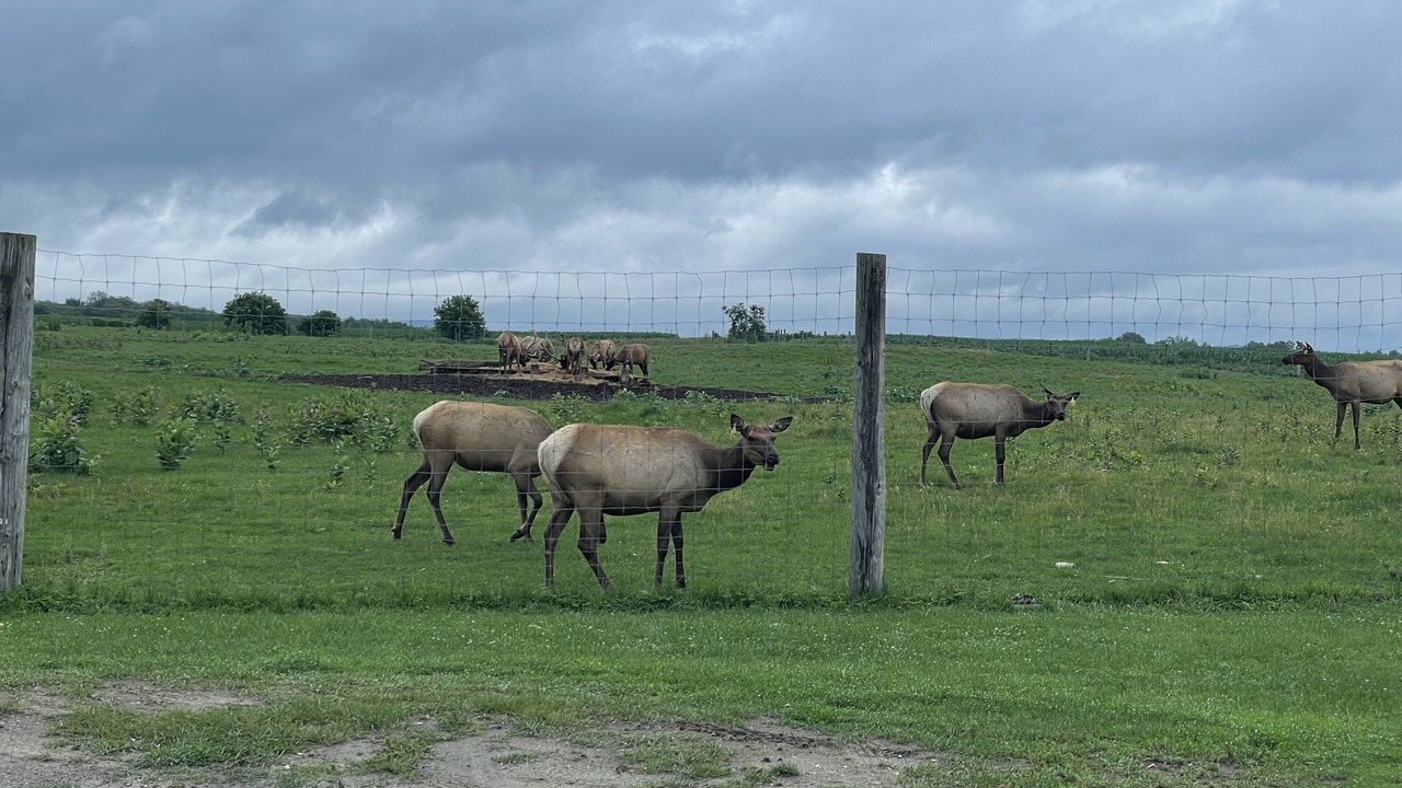 Photo of Outdoor in Brighton