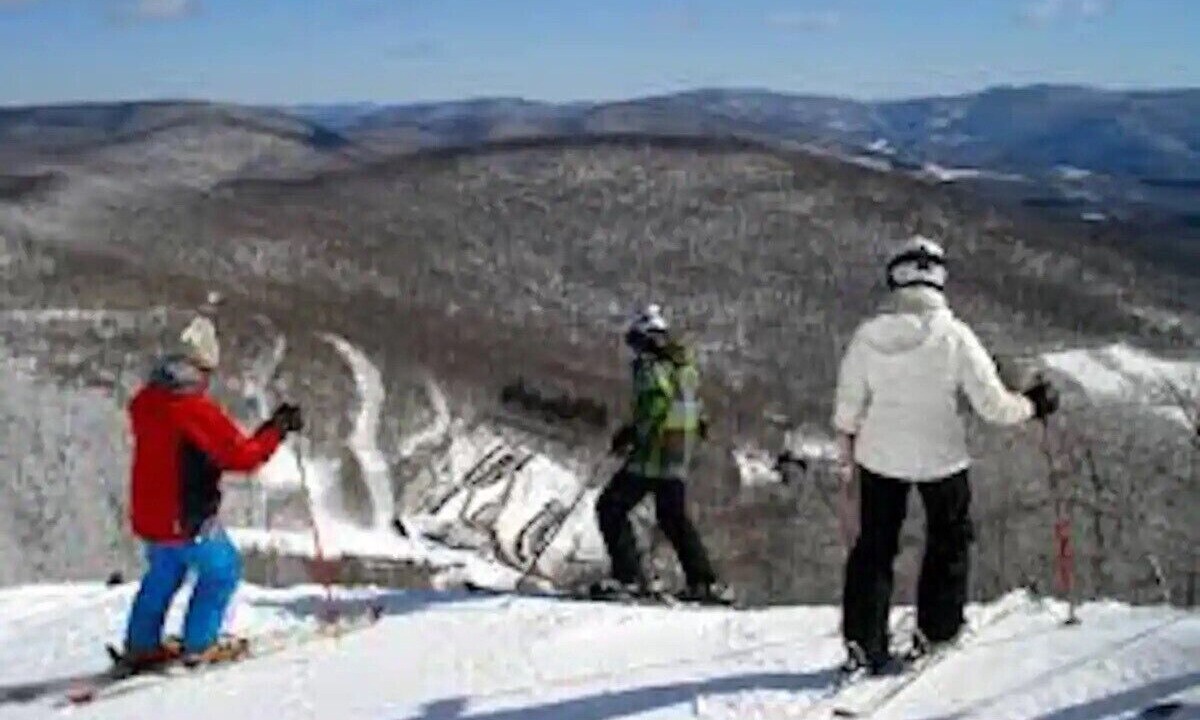 Photo of Others in Brighton