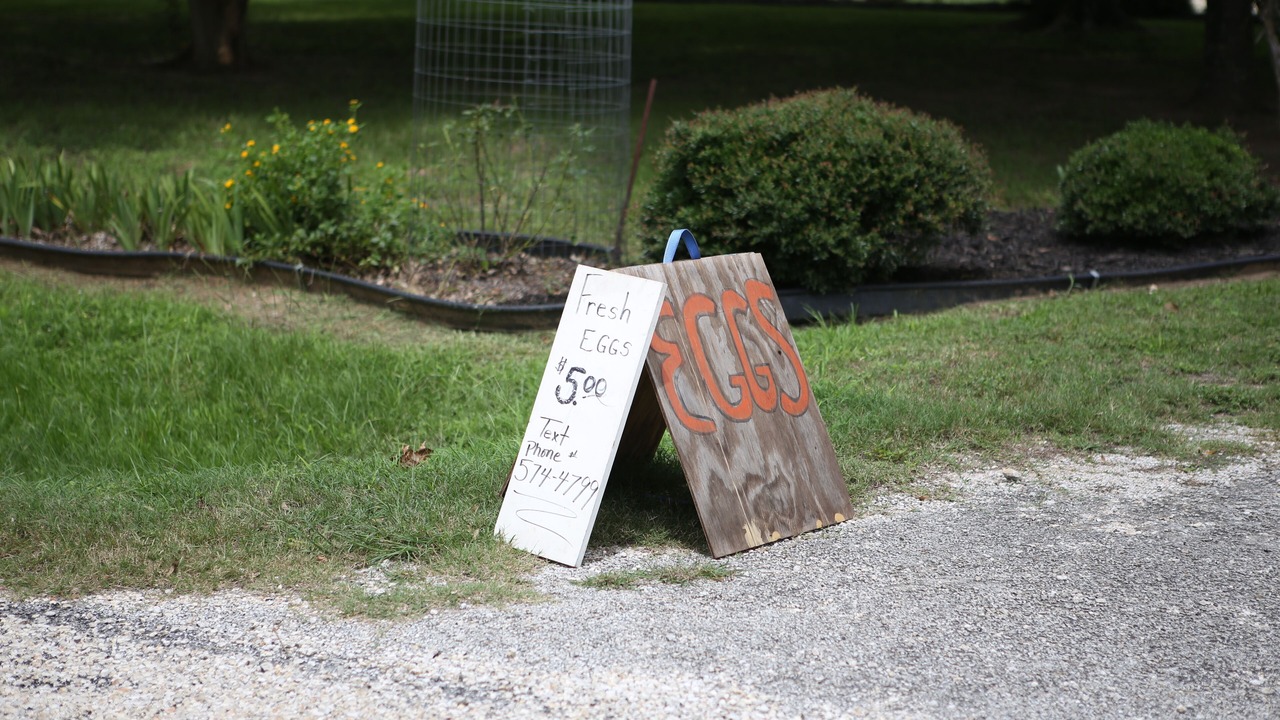 Photo of Outdoor in Franklin Estates