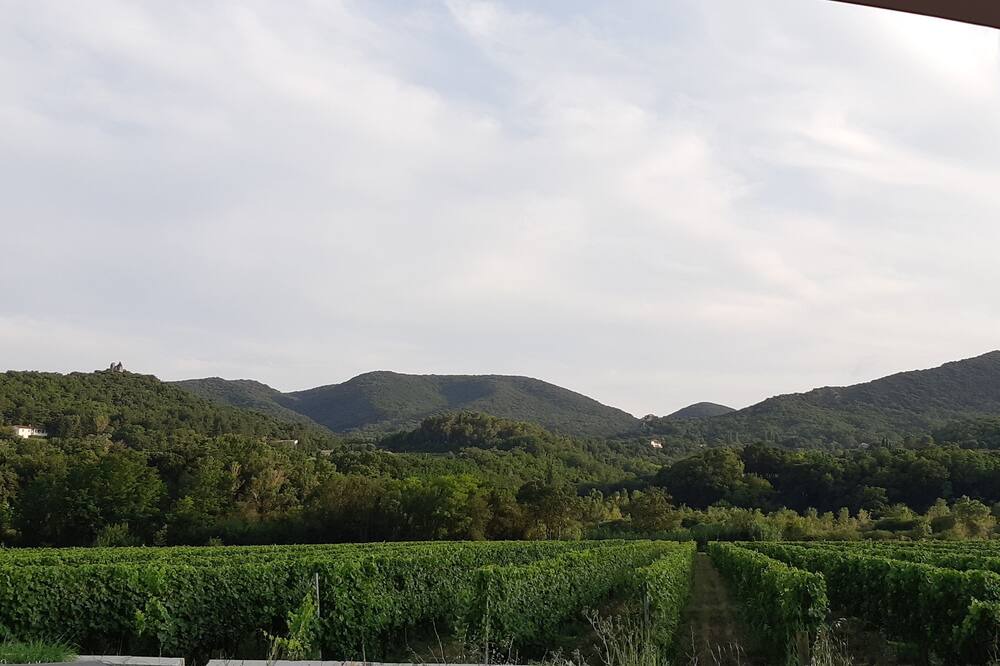 Photo of Others in Viviers