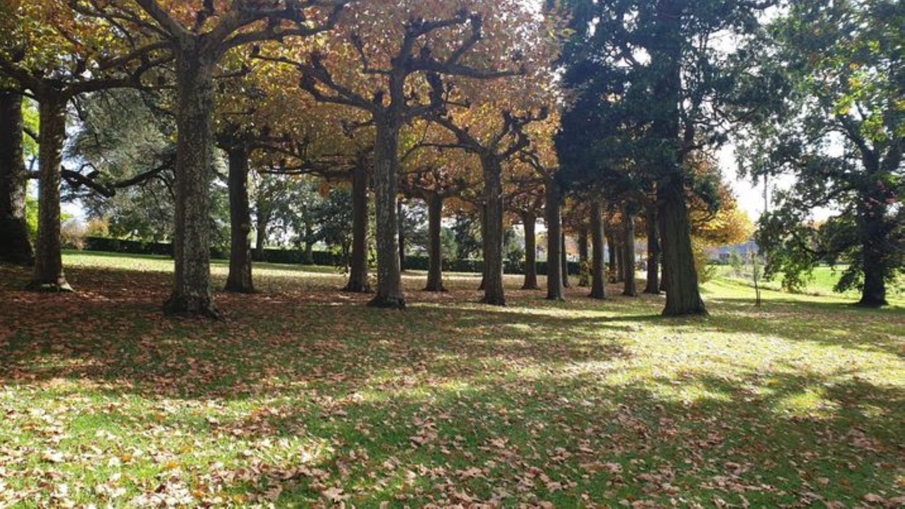 Photo of Outdoor in Valence