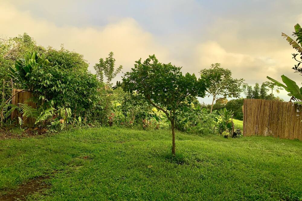 Photo of Outdoor in Kealakekua