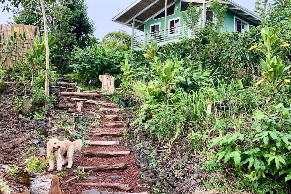 Photo of Outdoor in Kealakekua