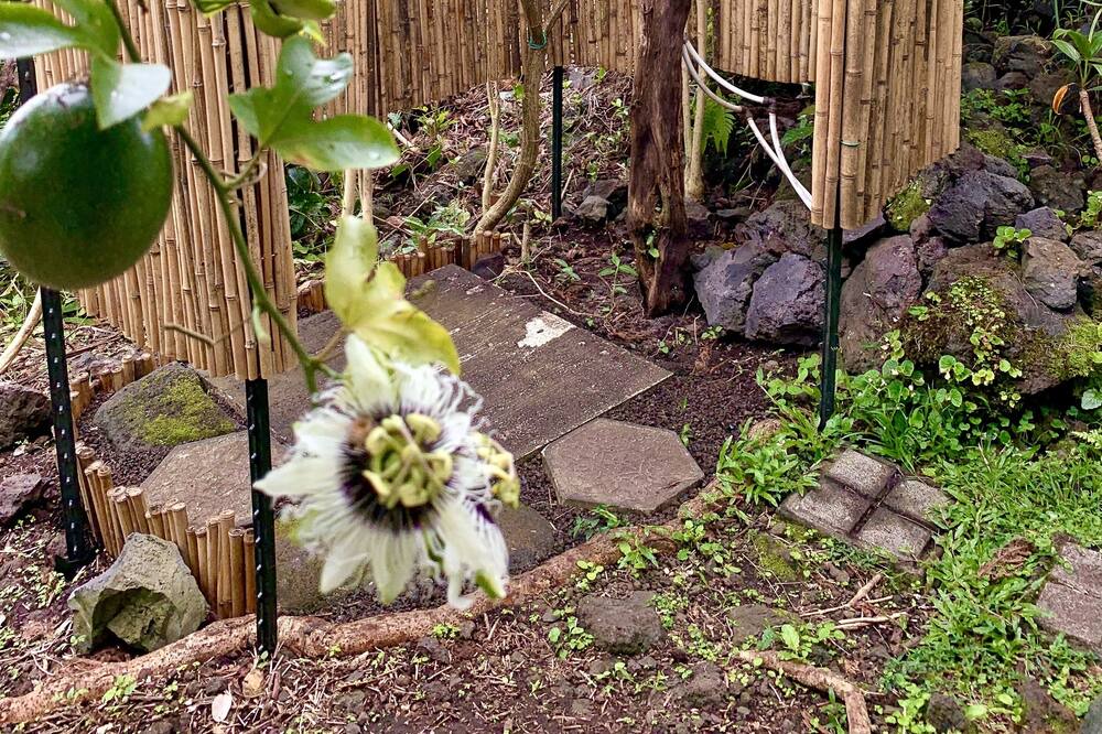 Photo of Others in Kealakekua