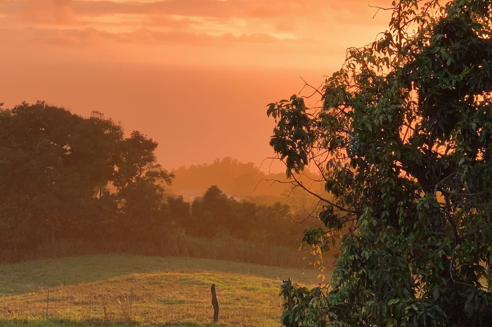 Photo of Outdoor in Kealakekua