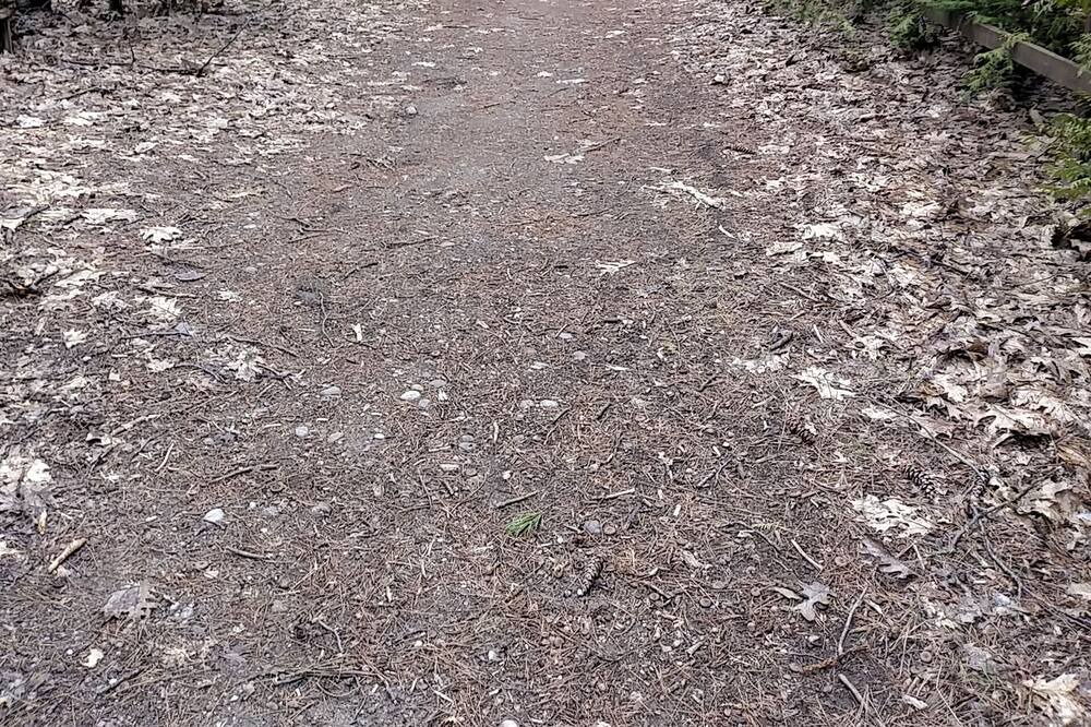 Photo of Outdoor in Tiny