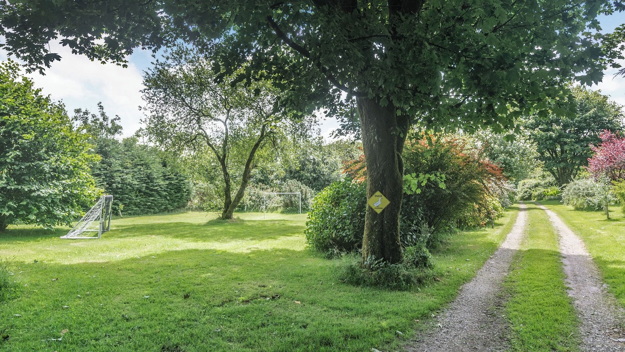 Photo of Others in Okehampton