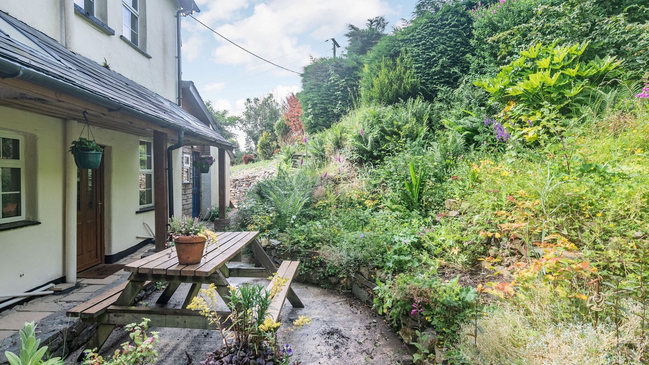 Photo of Others in Okehampton