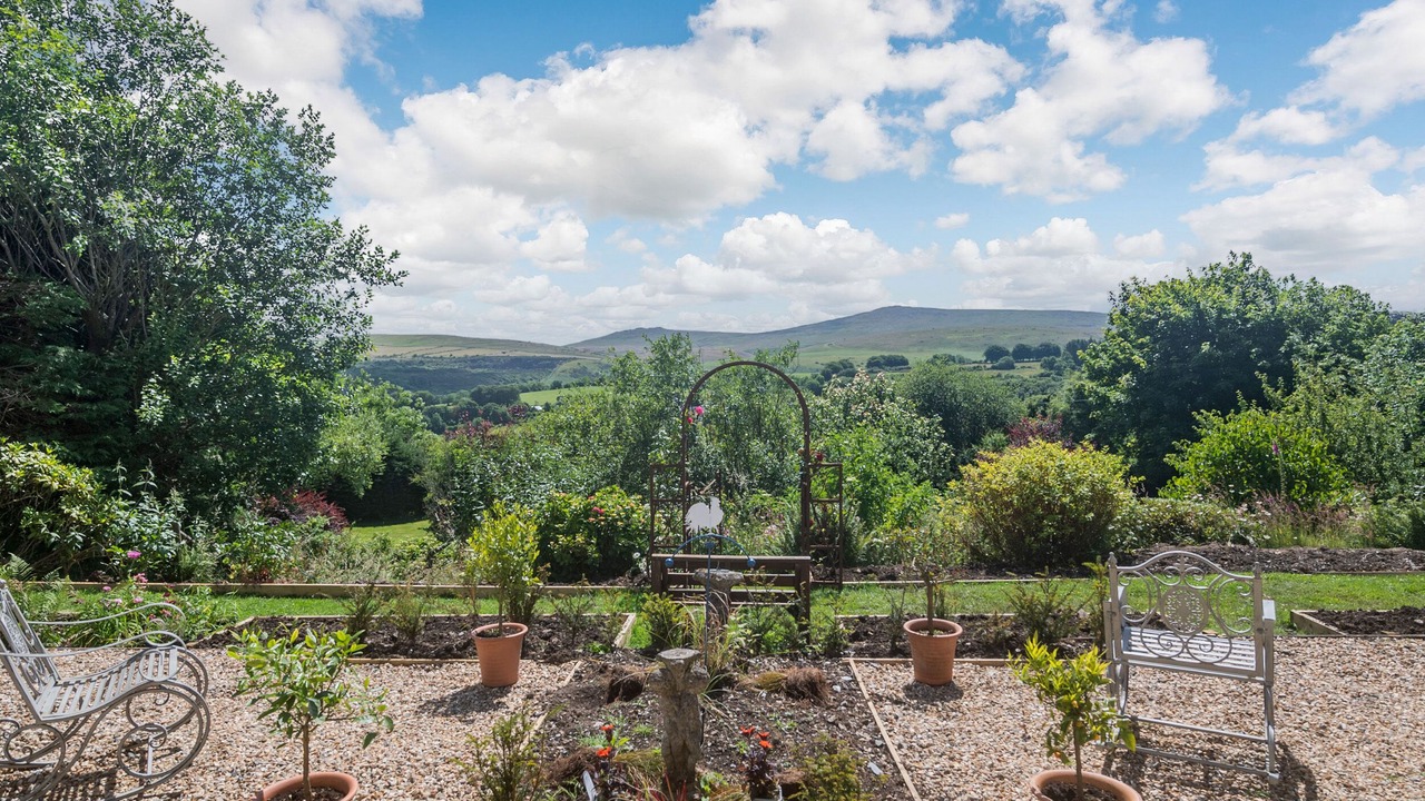 Photo of Others in Okehampton