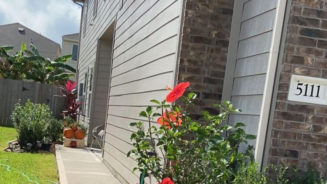 Photo of Outdoor in Houston