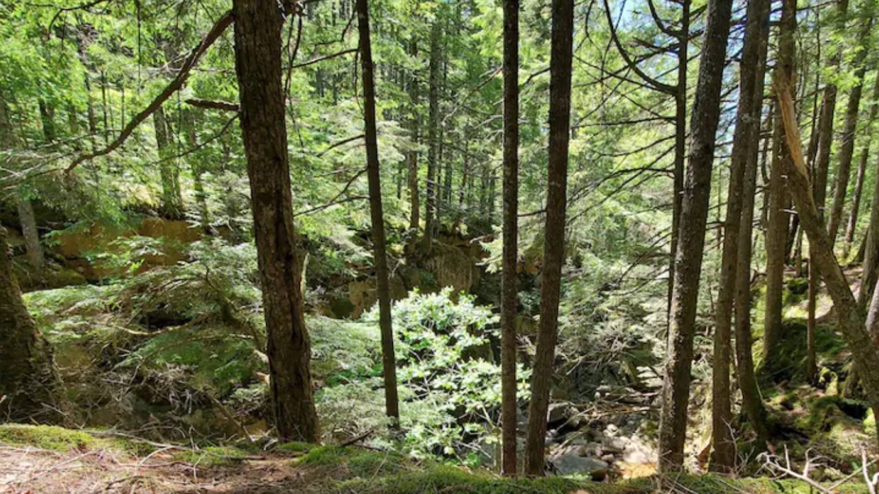 Photo of Outdoor in Rumney