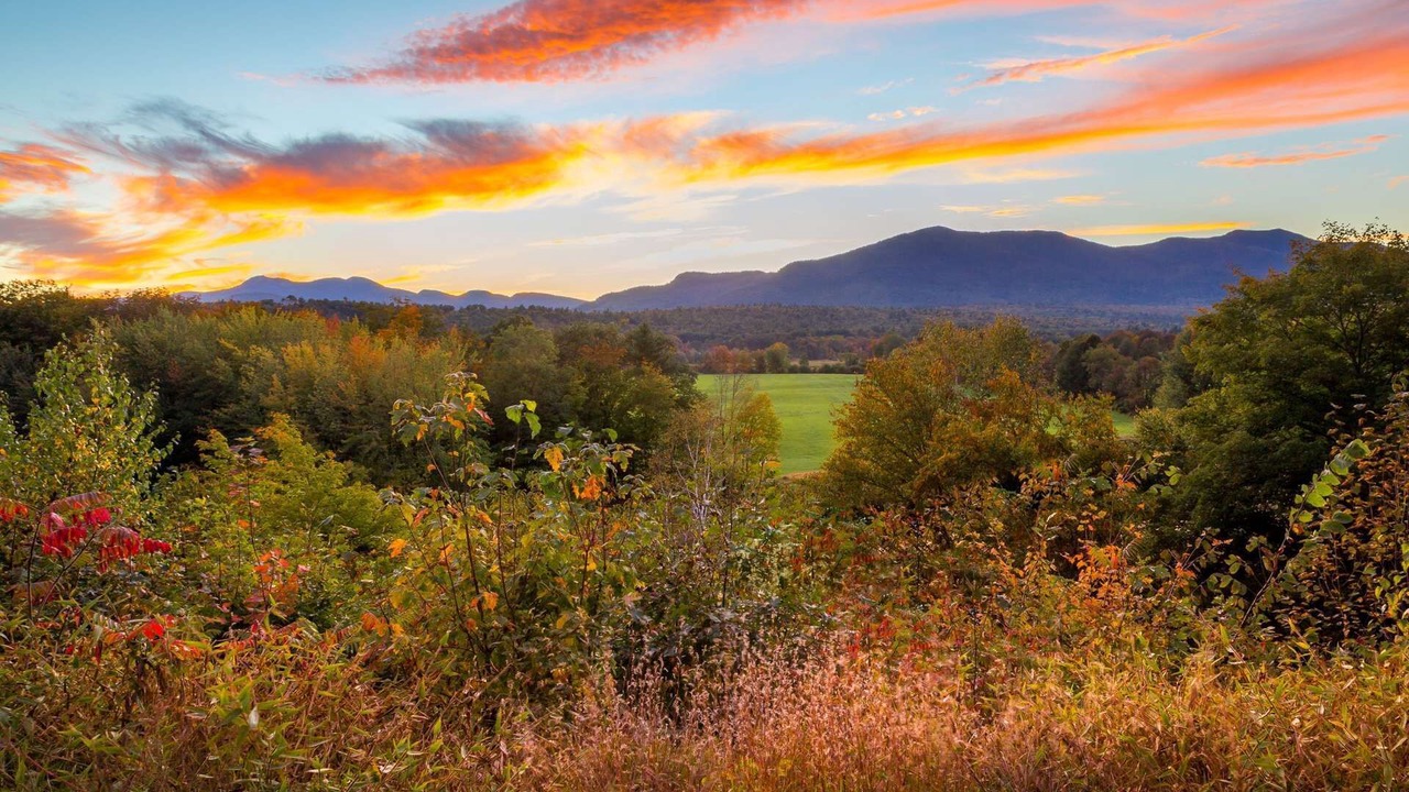 Photo of Others in Rumney