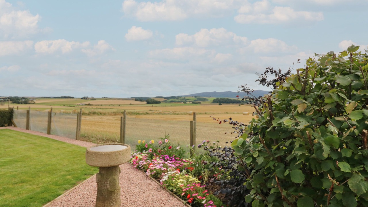 Photo of Others in Insch