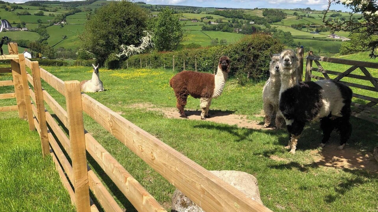 Photo of Outdoor in Corwen