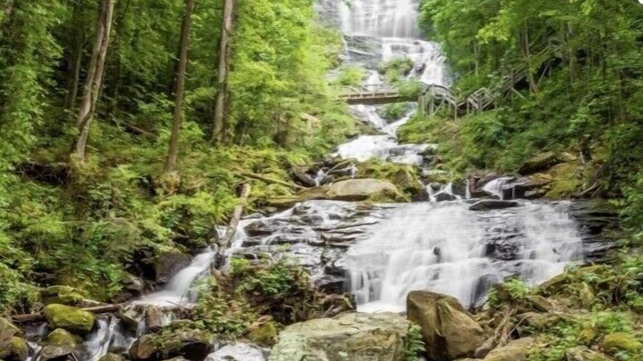 Photo of Outdoor in Dawsonville