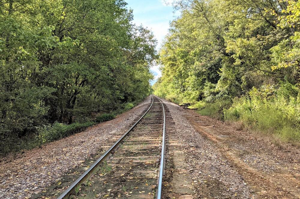Photo of Others in Boswell