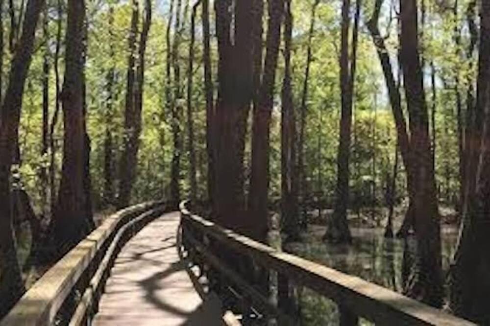 Photo of Others in Ridgeland