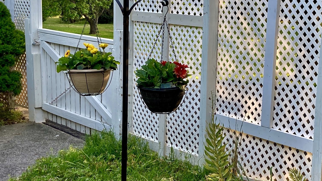Photo of Outdoor in Purcellville