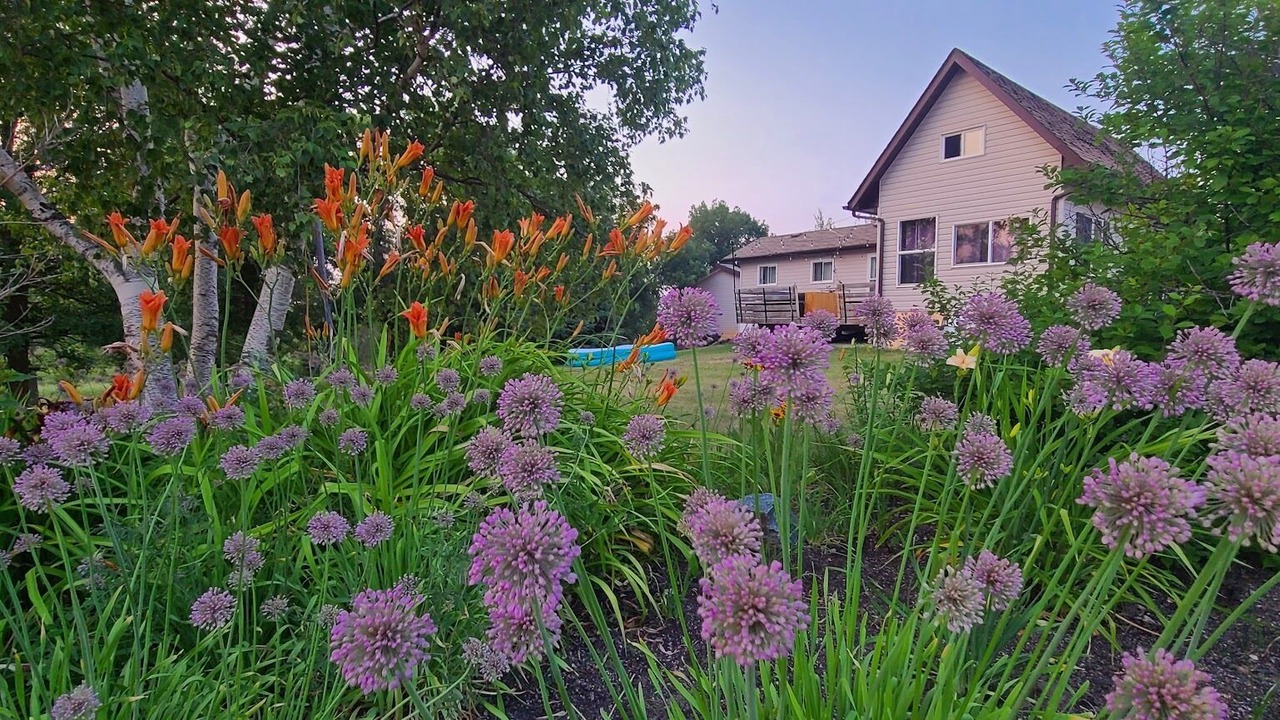 Photo of Outdoor in Belair