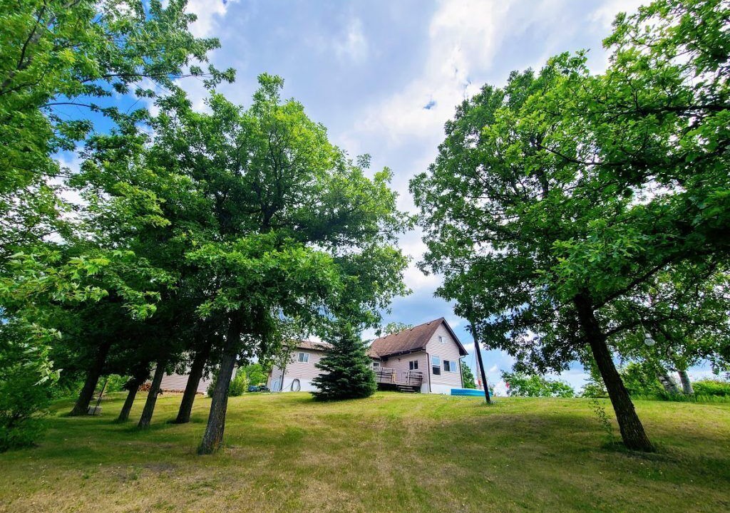 Photo of Outdoor in Belair