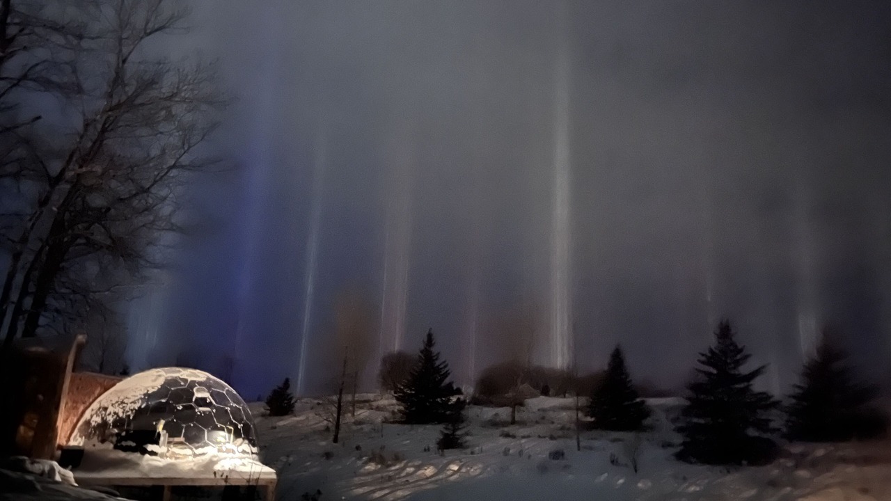 Photo of Outdoor in Belair