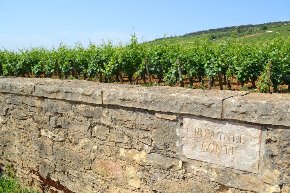 Photo of Outdoor in Nuits-Saint-Georges