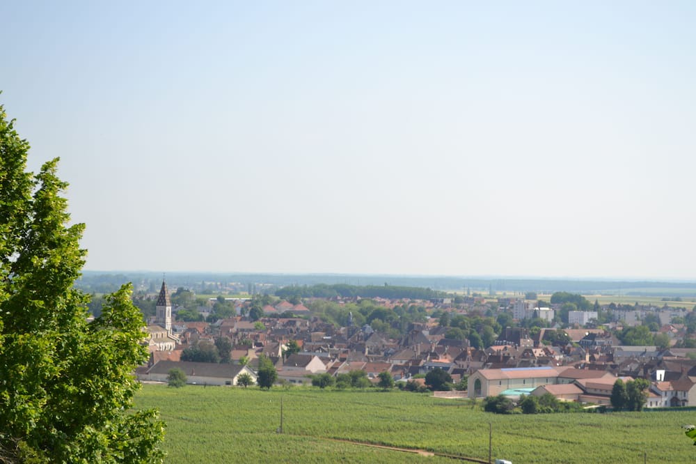 Photo of Others in Nuits-Saint-Georges