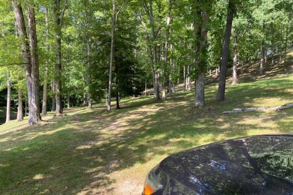 Photo of Outdoor in Flatgap