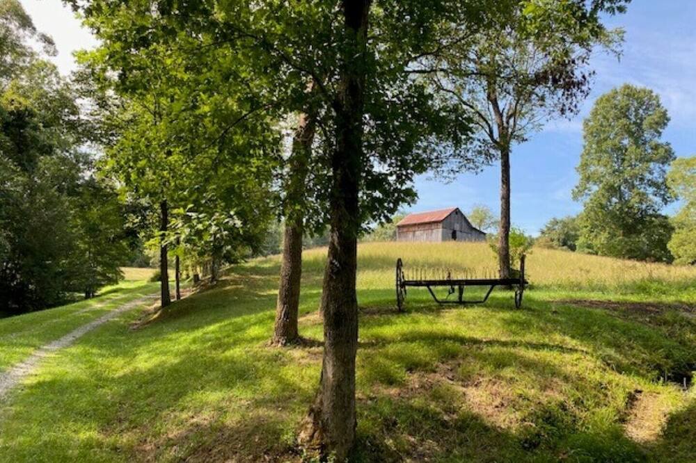 Photo of Outdoor in Flatgap