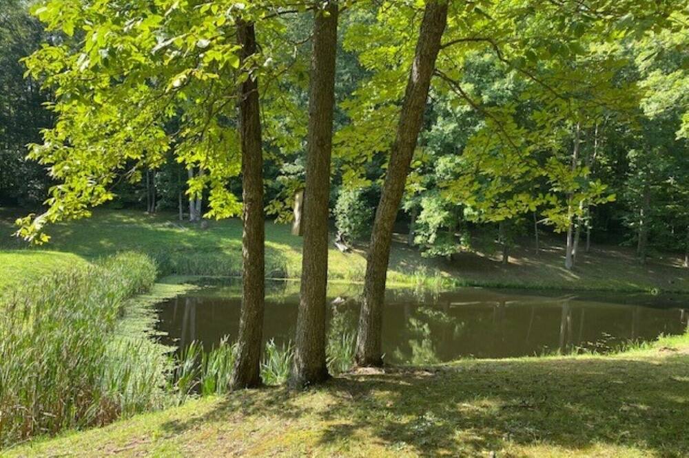 Photo of Outdoor in Flatgap