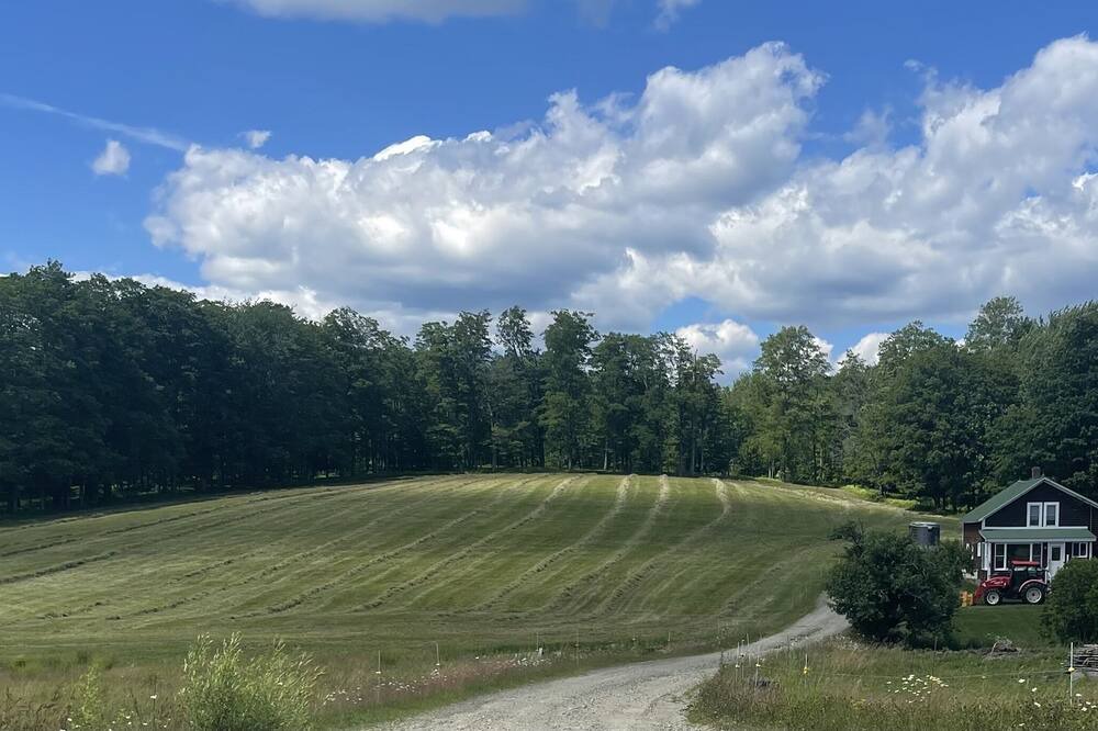 Photo of Others in Jacksonville