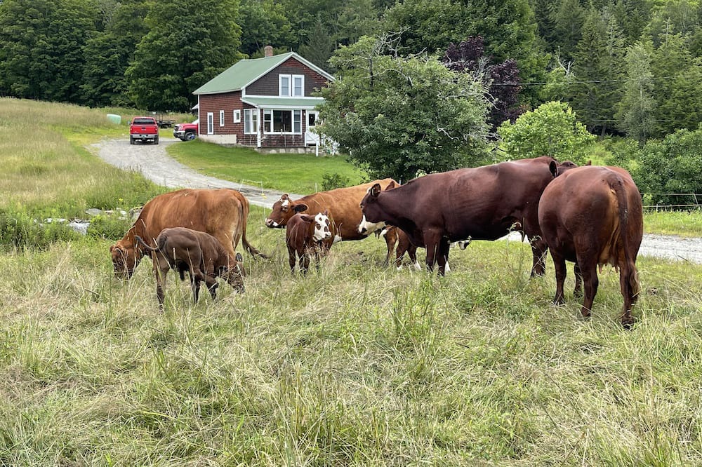 Photo of Outdoor in Jacksonville