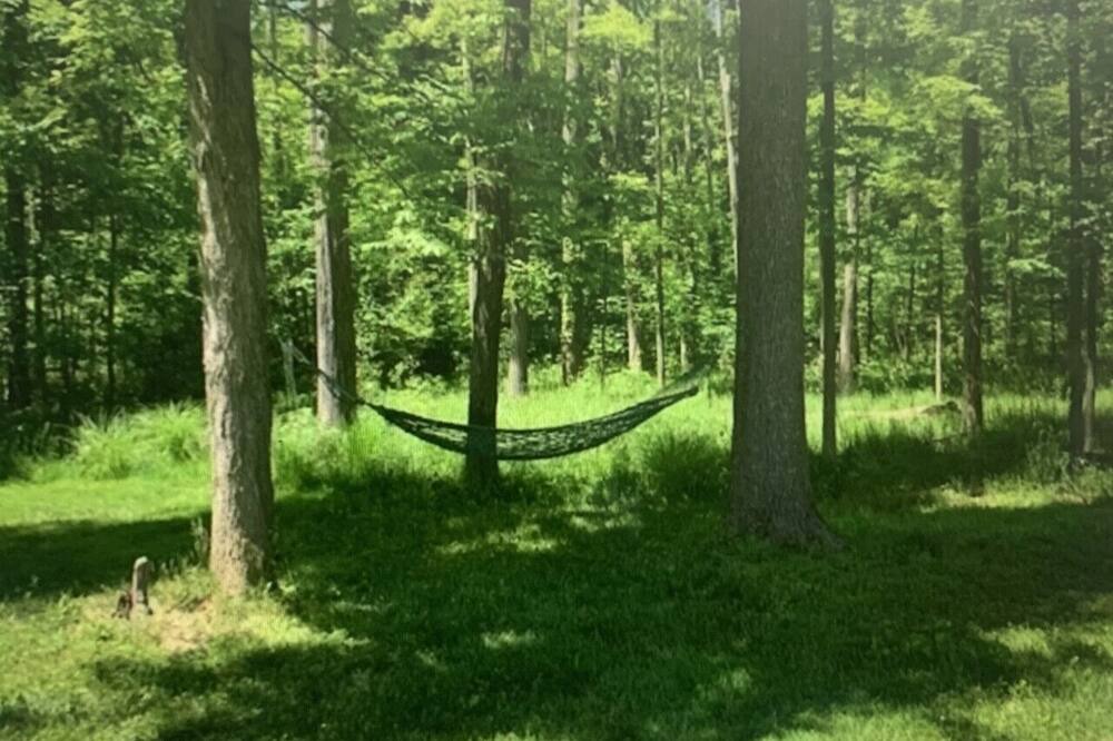 Photo of Outdoor in Hudson