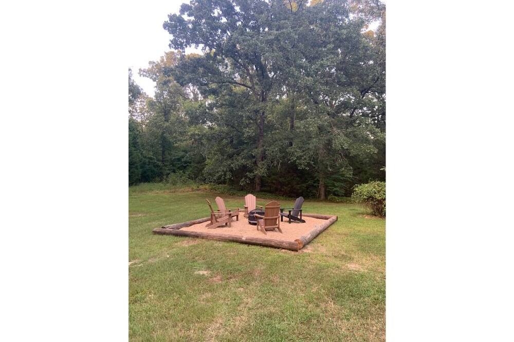 Photo of Outdoor in Blossom