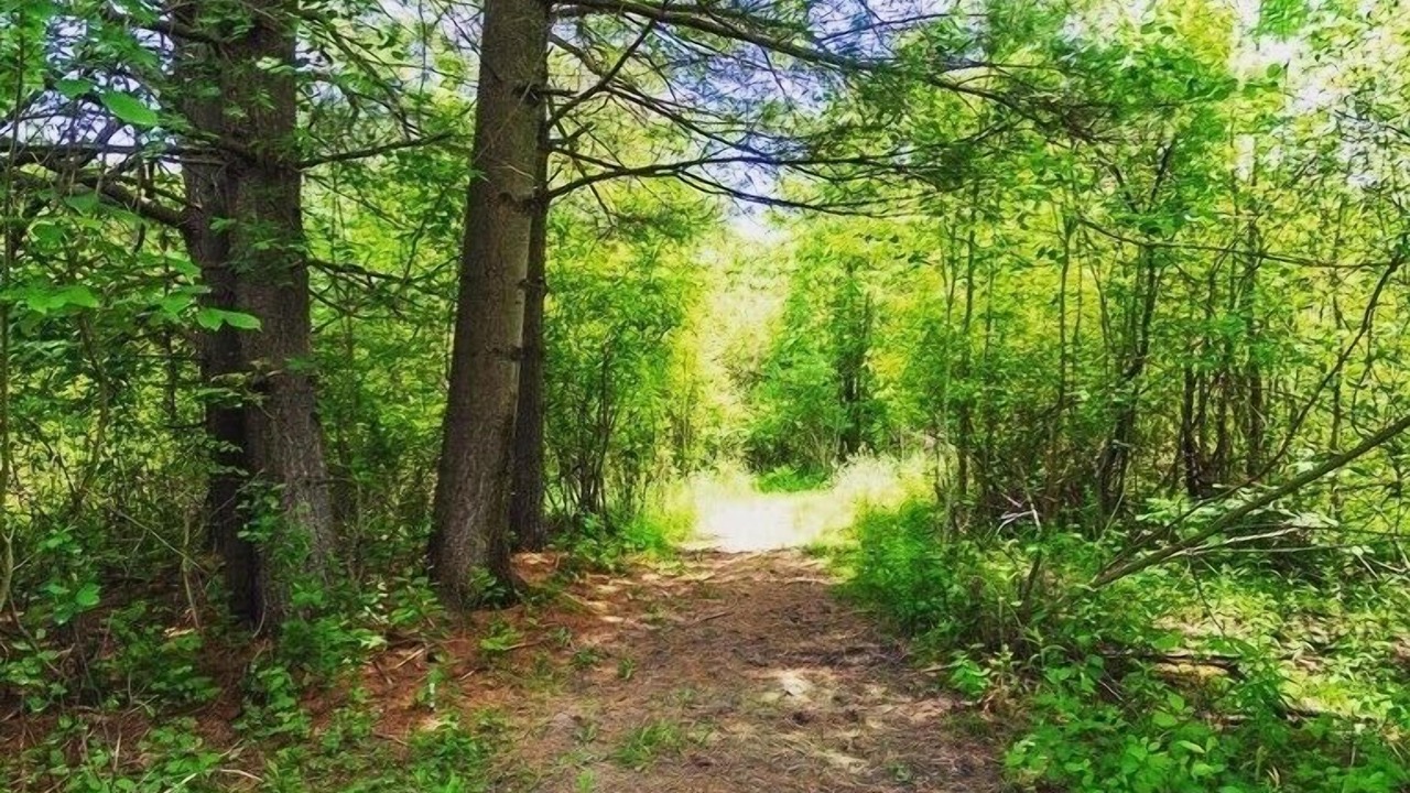 Photo of Outdoor in Chautauqua