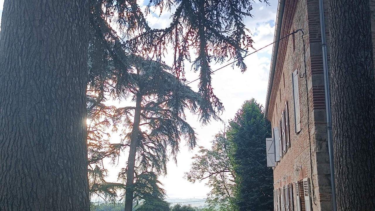 Photo of Outdoor in Lavaur