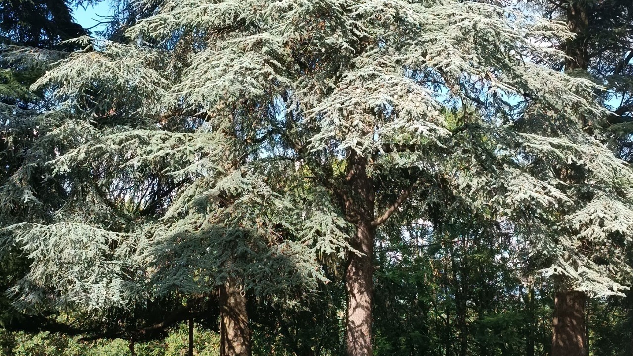 Photo of Outdoor in Lavaur