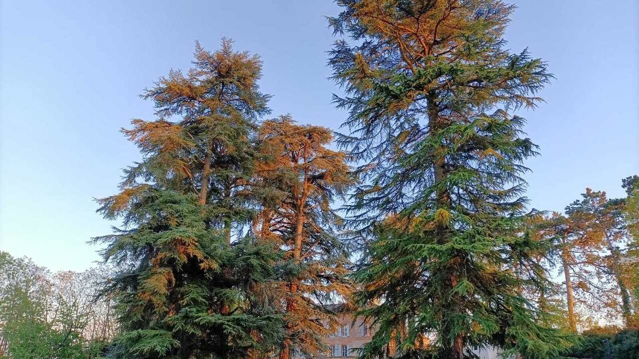 Photo of Outdoor in Lavaur