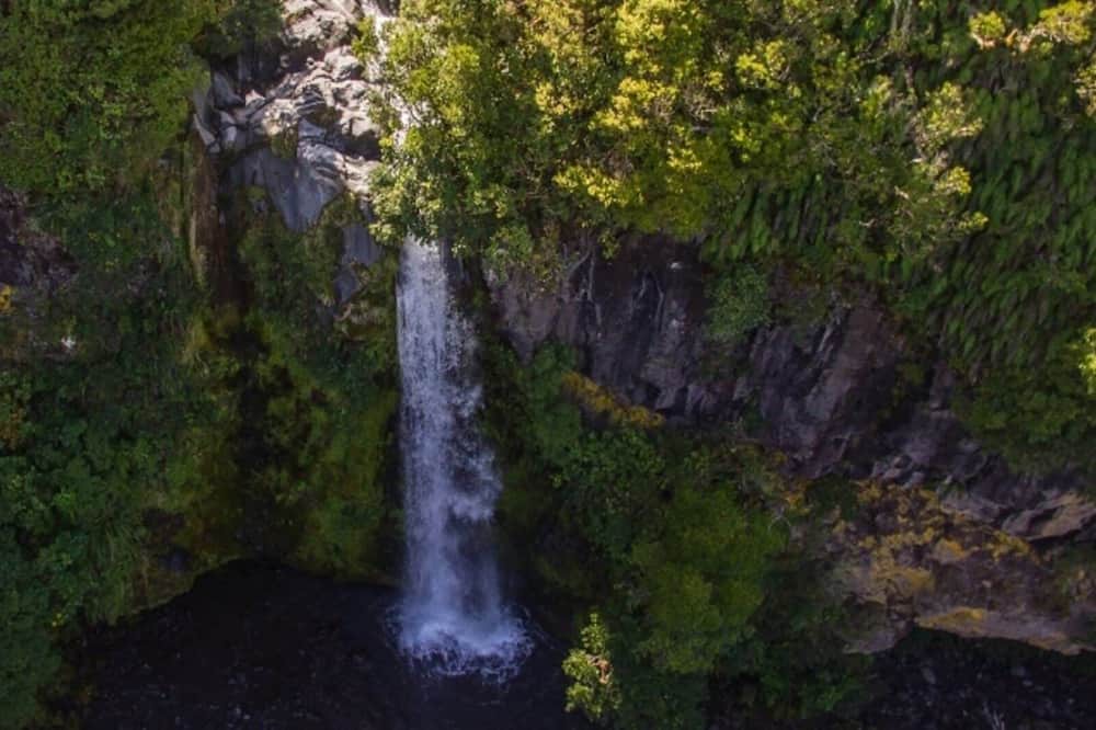 Photo of Others in Stratford