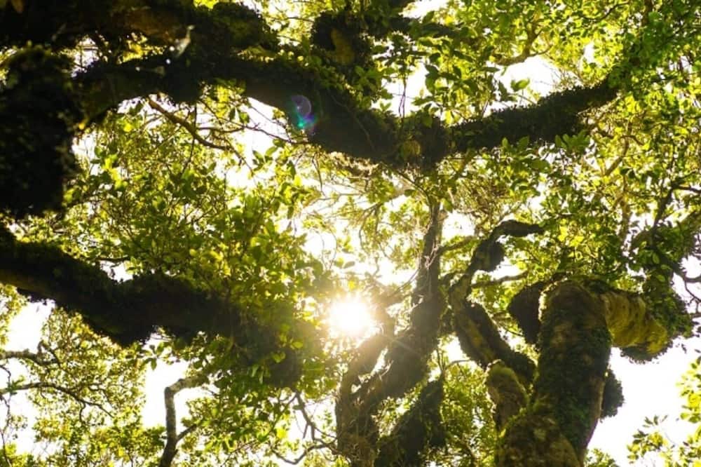 Photo of Others in Stratford