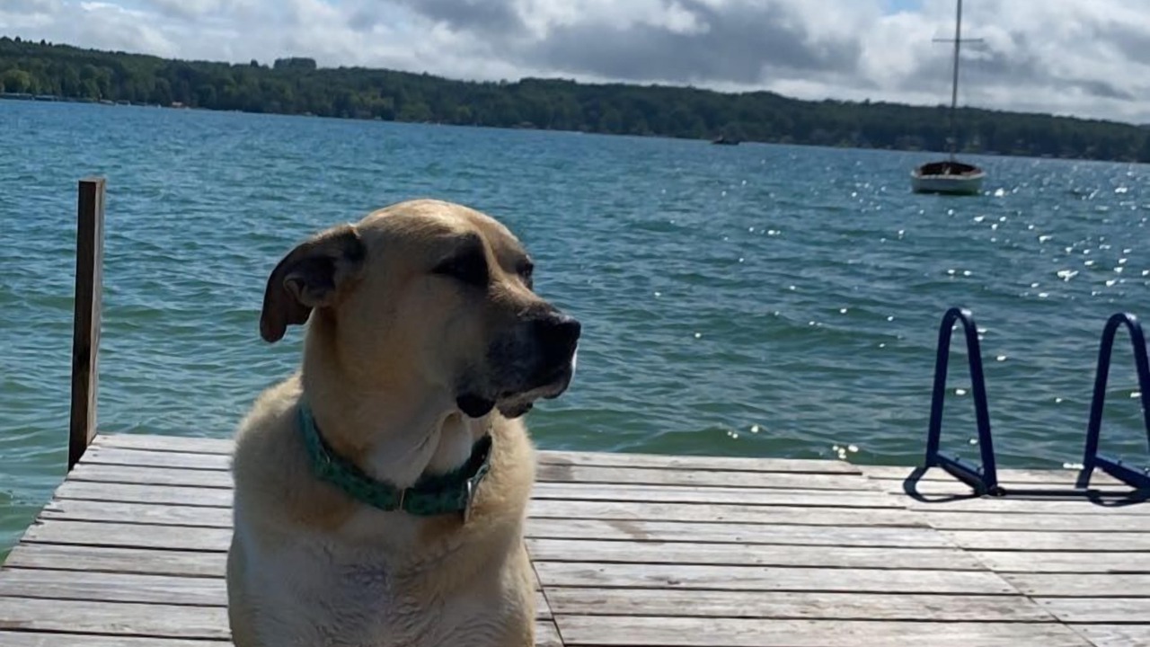 Photo of Others in Walloon Lake